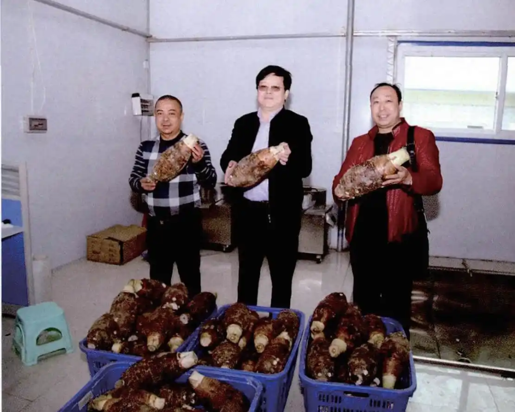 粤北产业融合“操盘手”邓泗洲:从功能性农业到全链条研究实践之路