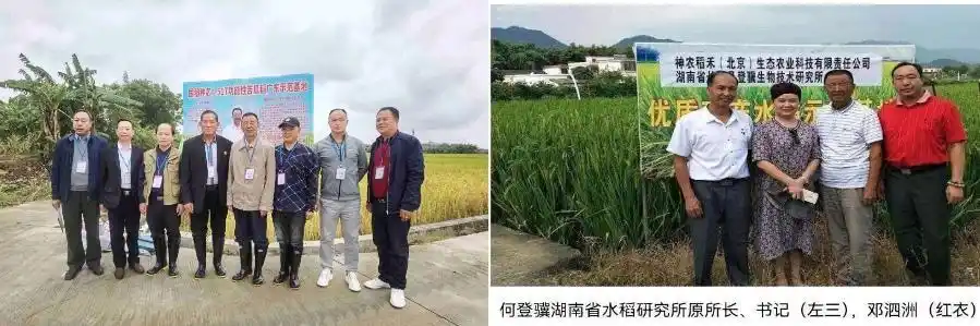 粤北产业融合“操盘手”邓泗洲:从功能性农业到全链条研究实践之路