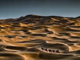 它们似乎都能渗透进自己的神经,在镜头的凝视中