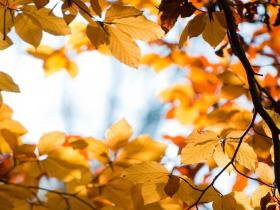 中国著名风光摄影家,中国摄影家协会会员